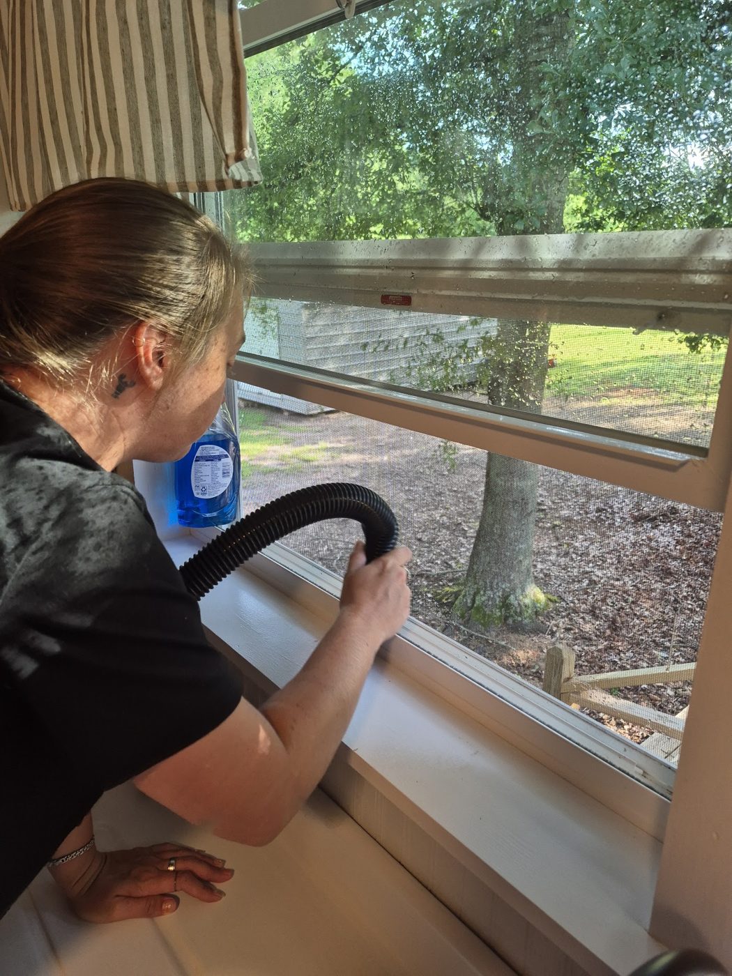 Vacuuming window tracks